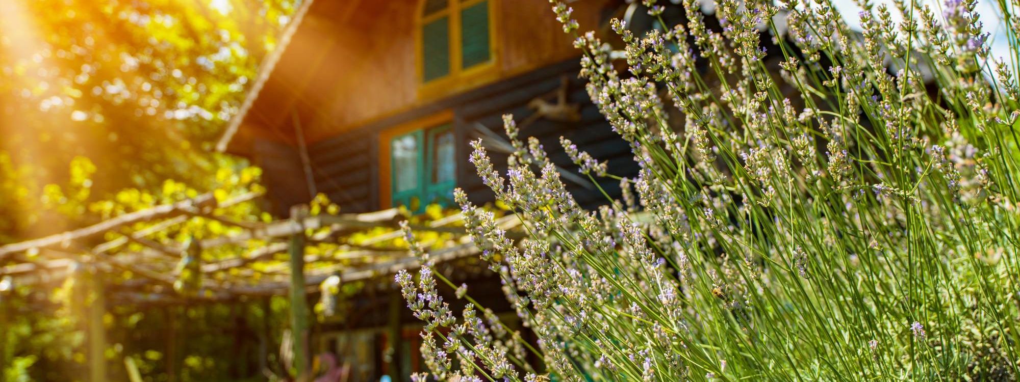 Qu’est-ce qu’une maison finlandaise ? Molsheim