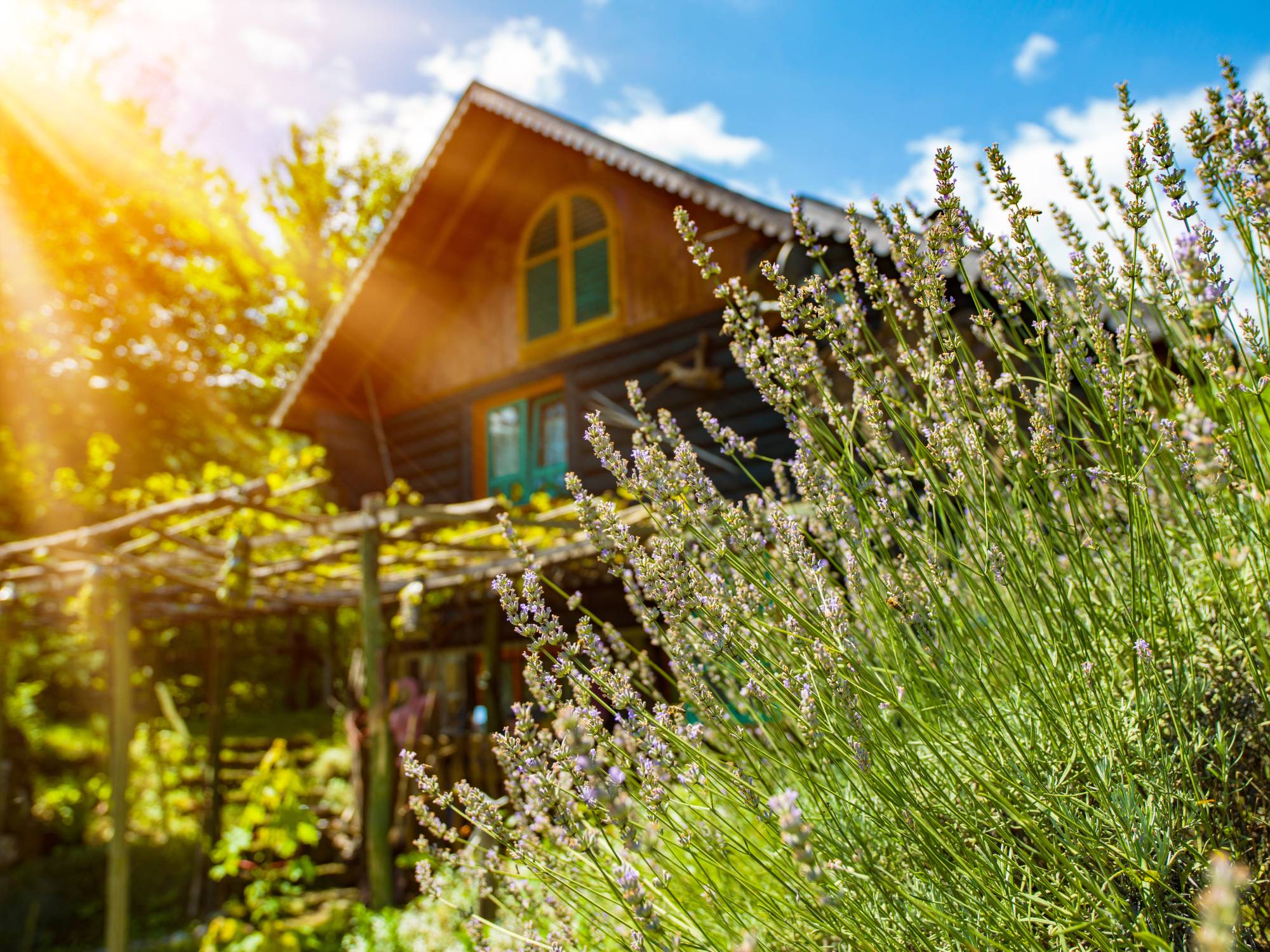 Qu&#8217;est-ce qu&#8217;une maison finlandaise ? Molsheim